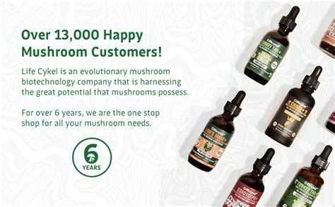 Liquid Mushroom Extracts Mycelium Sona Biotech