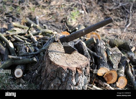 Axe In Chopping Block Hi Res Stock Photography And Images Alamy