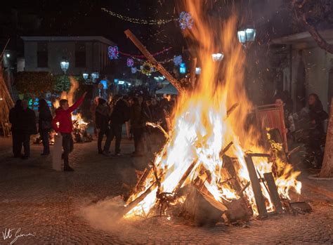 Tutto Pronto Per I Foche Santantone Il Gennaio Previsti Migliaia