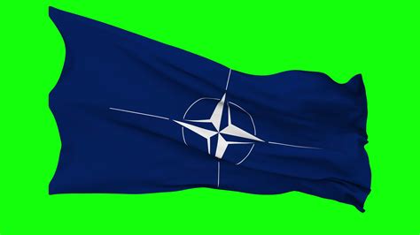 North Atlantic Treaty Organization Nato Flag Waving Seamless Loop In Wind Chroma Key Green