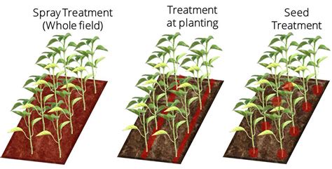 Seed Treatment Croda Crop Care