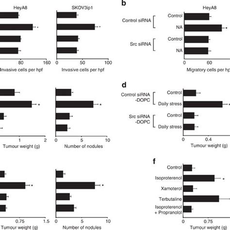 NA-induced Src activation is mediated by an ADRB/cAMP/PKA mechanism.(a ...