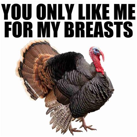 Funny Turkey Memes For Thanksgiving 2023 | Funny turkey memes, Funny ...