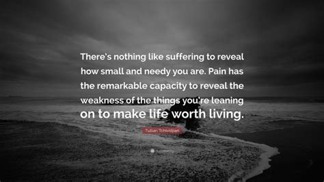 Tullian Tchividjian Quote Theres Nothing Like Suffering To Reveal