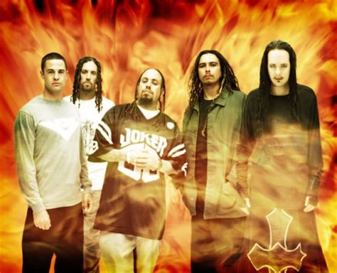 Korn Greatest Hits Vol Bild Foto Fan Lexikon