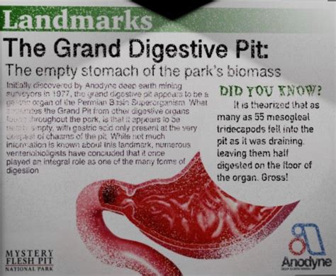 Mystery Flesh Pit National Park In Landmark Poster Digestive