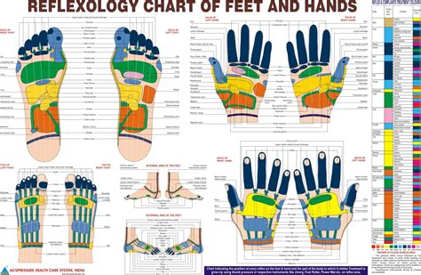 Reflexology Of Feet And Hands Reflexology Chart Reflexology Foot Chart Foot Reflexology