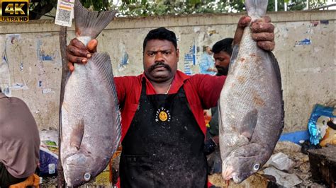 Kasimedu Speed Selvam Very Very Rare Fish Cutting Video K Video