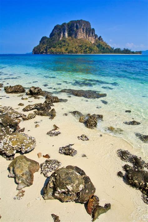 tropical beach  island  thailand stock image image  silhouette