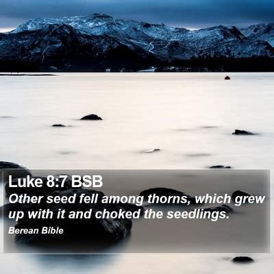 Luke 8 Bible Images Luke Chapter 8 BSB Bible Verse Pictures