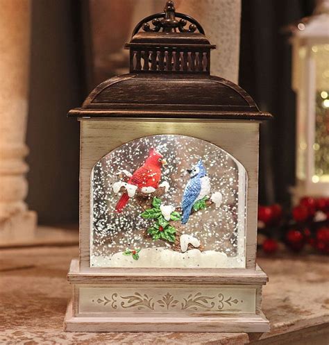 8 Inch Lighted Cardinal And Blue Jay Glitter Water Lantern Battery