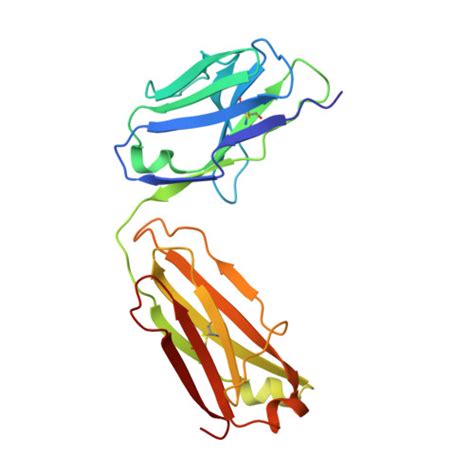 RCSB PDB - 8HN7: Crystal structure of monoclonal antibody complexed ...