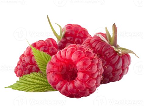 Berry Png Transparent Background 29228882 Png