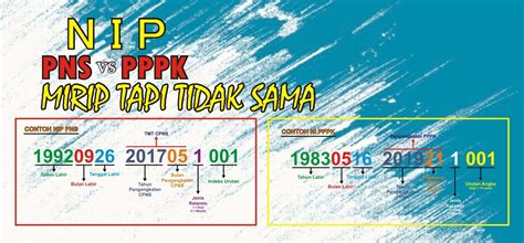 Beda Nip Dan Nib Kenali Perbedaan Keduanya Versus Beda