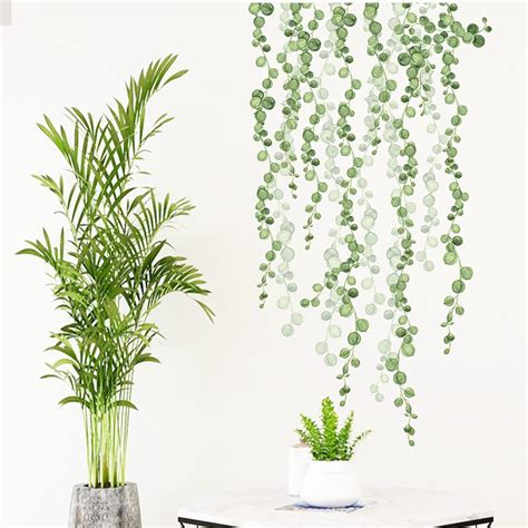 Amazon Hanging String Of Pearls Vine Leaves Wall Decal Oppro