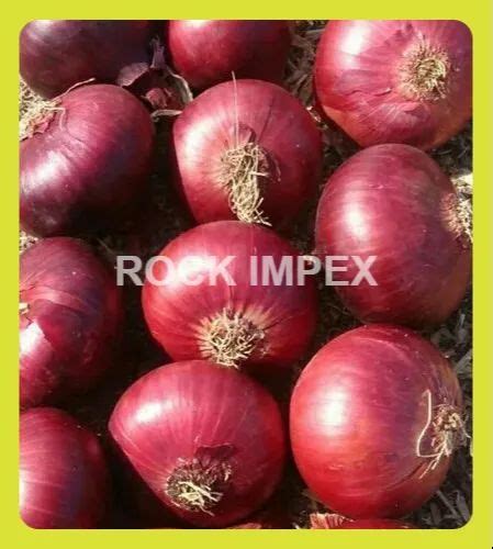 A Grade Cool RED ONION Gunny Bag Packaging Size 50 Kg At Best Price