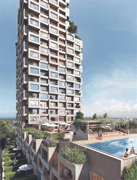 Investors bank on African timber for sustainable building boom – The