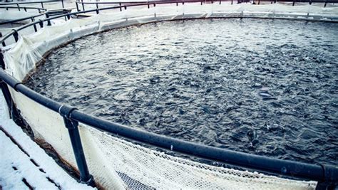 Secretaria Nacional de Aquicultura lança programa para impulsionar o