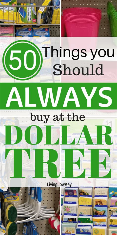 The Best Things To Buy At The Dollar Tree And What To Avoid Dollar