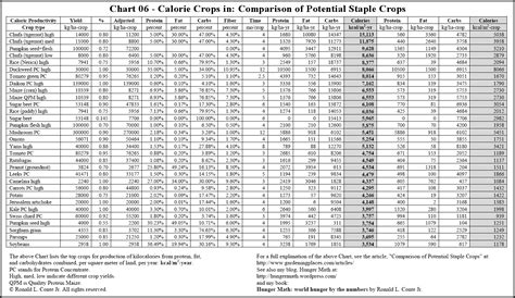 Food Calorie Chart Printable