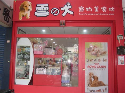 雪之犬專業寵物美容店 公司簡介與徵才工作機會│518人力銀行