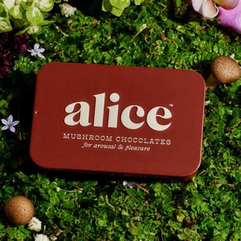 Alice Mushroom Chocolates For Arousal And Pleasure Killjoy