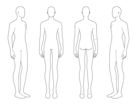 Naked Standing Man Stock Vector Image By Arlatis