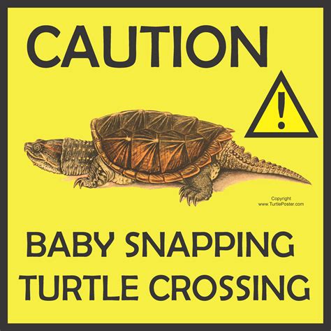 Free Turtle Crossing Signs