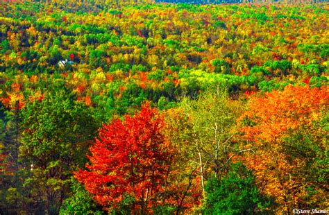 New Hampshire Fall Colors | White Mountains, New Hampshire | Steve Shames Photo Gallery