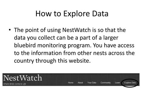 Ppt How To Use Project Nestwatch Powerpoint Presentation Free