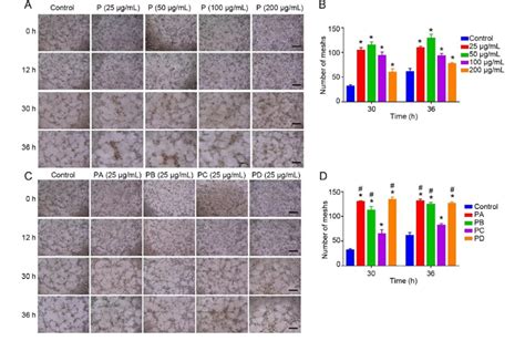 P Pa Pb Pc And Pd Were Benefited To Huvec Tube Formation A Tube