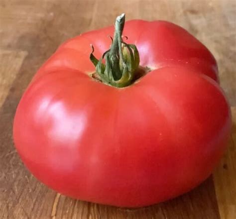 Tomato Super Marmande Queen Of Seed