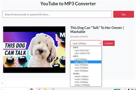 How To Convert Youtube Videos To Mp Files Mashable