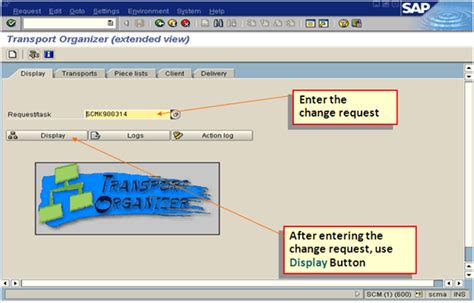 What Is Sap Transport Request How To Importexport Tr