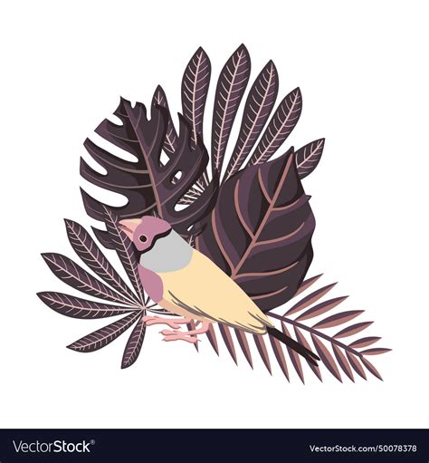 Drawing Bird Gouldian Finch Royalty Free Vector Image