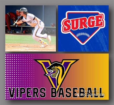 Vipers Playing Pro Ball Photos Vipers Baseball Club