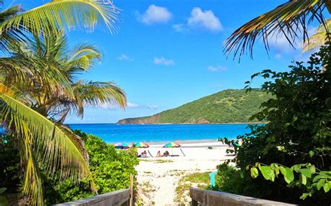 Flamenco Beach Snorkeling: The 1 Of The Best 10 Beaches