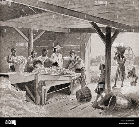 Slaves working with a 19th century cotton gin on a plantation in a ...