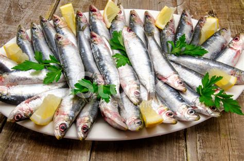 Fresh Sardines Stock Photo Royalty Free Freeimages