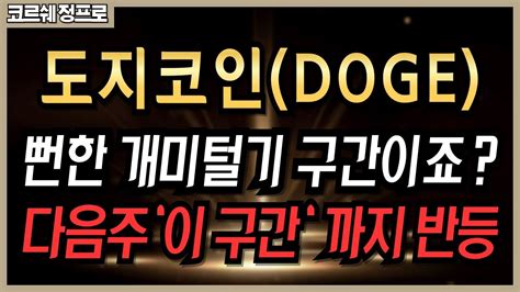 🔥도지코인🔥 뻔한 개미털기 구간이죠 다음주 이 구간 까지 반등 Youtube