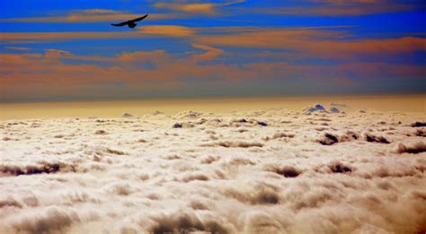 Free Images Beach Sea Coast Sand Ocean Horizon Bird Cloud Sky