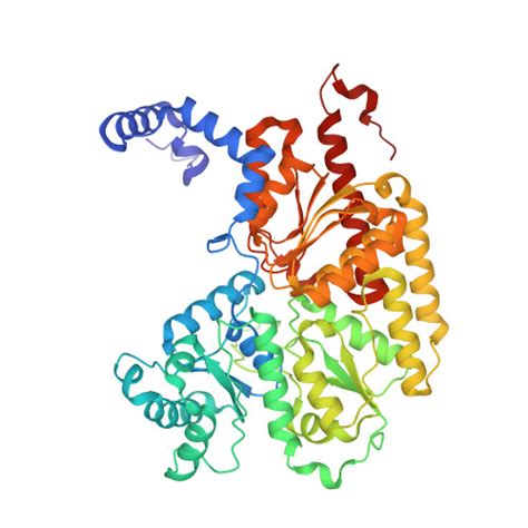 RCSB PDB 4XPI Fe Protein Independent Substrate Reduction By