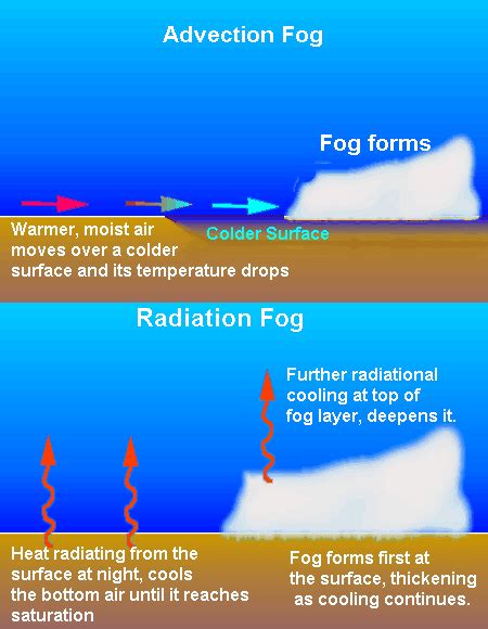 Fog on Delmarva - 47abc