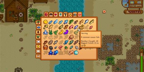 Worst Fish In Stardew Valley