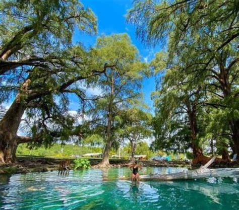 Los Ahuehuetes el oasis secreto de la sierra de Puebla México Travel