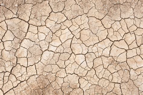 "Arid Climate" Images – Browse 548,095 Stock Photos, Vectors, and Video ...