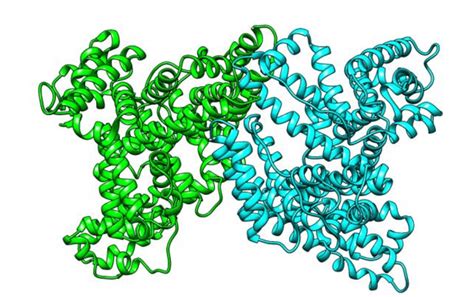 Model 3d Of Human Serum Albumin 1ao6 As Protein The Result Of X Ray