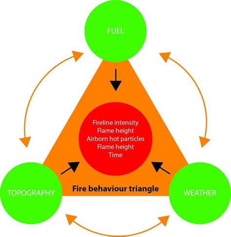 Wildfire Securo