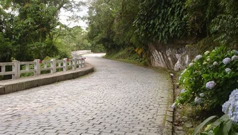 Estrada Da Graciosa Conhe A Uma Das Mais Belas Estradas Do Paran