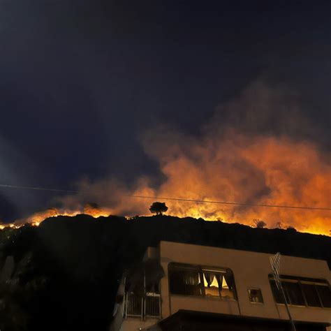 L Inferno Di Fuoco A Palermo La Procura Indaga Sugli Incendi